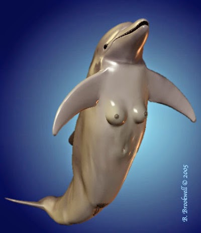 Sexy dolphin