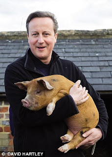 Prime Minister David Cameron holding a pig